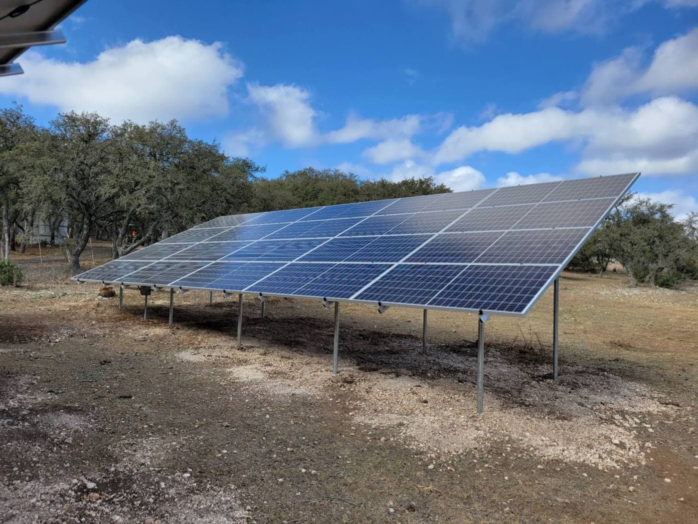 Ground-mounted solar array under oak trees